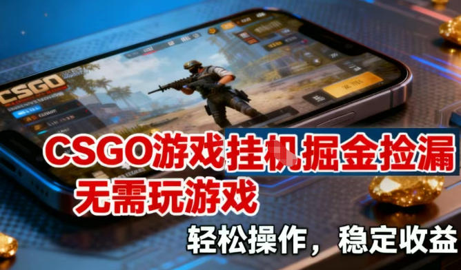 CSGO游戏挂G掘金捡漏,不需要玩游戏,操作简单,收益稳定【揭秘】-第一资源库