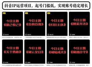 抖音IP运营项目,抖音今日主题玩法,起号门槛低,实现账号稳定增长-第一资源库