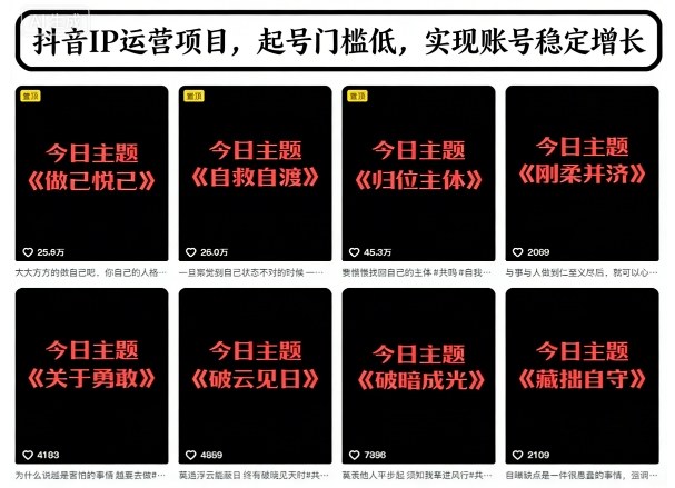 抖音IP运营项目,抖音今日主题玩法,起号门槛低,实现账号稳定增长-第一资源库