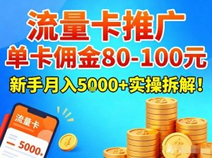 流量卡推广，单卡佣金80-100，新手月入5k+实操拆解！-第一资源库