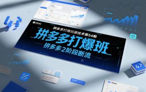 拼多多打爆班原创技术第54期,拼多多2阶段断流-第一资源库