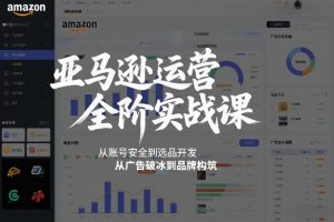 亚马逊运营全阶实战课，从账号安全到选品开发，从广告破冰到品牌构筑（更新2026）-第一资源库