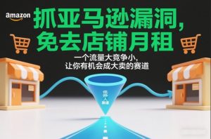 抓亚马逊漏洞,免去店铺月租,一个流量大竞争小,让你有机会成大卖的赛道-第一资源库